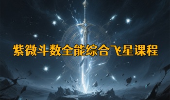 萧老师【紫微斗数全能综合飞星课程】视频15集