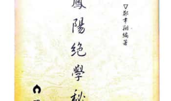 郑韦翔《凤阳绝学秘录》 177页.PDF电子版