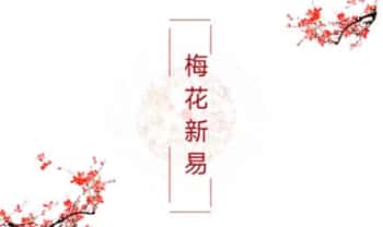贾云丰【贾氏梅花新易】教学视频8集