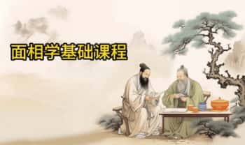 【面相学基础入门】视频课程18集