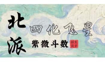 墨尘（一清）【北派紫微斗数】视频课28集