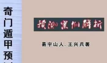 王兴兵-易宇山人《奇门遁甲预测案例解析》272页.PDF电子版