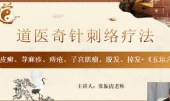 张振虎25年7月新课【道医秘传奇针刺络精品网课】3集视频课