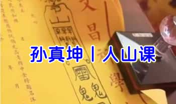 孙真坤【人山课】视频50课