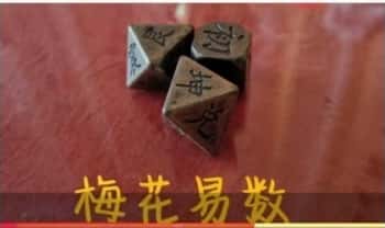 黑耀老师【梅花易数初级+进阶】12集视频课