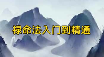 《禄命法入门到精通》370页.PDF电子版