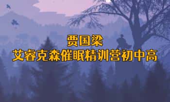 贾国梁【艾睿克森催眠精训营】初级+中级+高级视频课合集