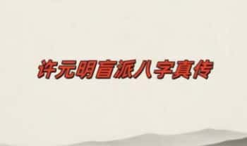许元明 盲‬派八字真传【许氏盲派命理八字实操班】视频课25集
