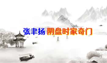 张聿扬【一周学会阴盘奇门】+【用上帝视角谋划一生】2套课