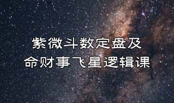 萧老师【紫微斗数定盘及命财事飞星逻辑课】教学视频45集