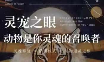 萨满系课程【灵宠模块课】5集视频