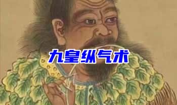 韩震【九皇纵气术】录音+文档