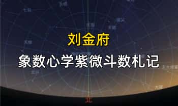 刘金府《象数心学紫微斗数札记》335页.PDF电子版