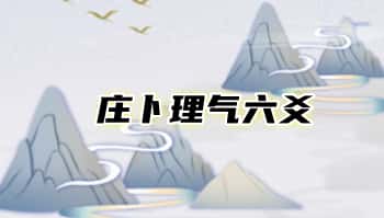 木子论易【庄卜理气六爻】视频教程23集