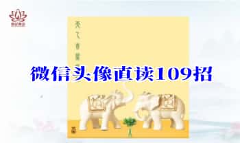 辰南老师【微信头像直读109招】22集视频