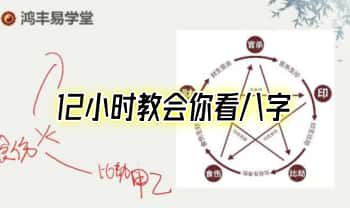 鸿丰【12小时教会你看八字】14集视频课