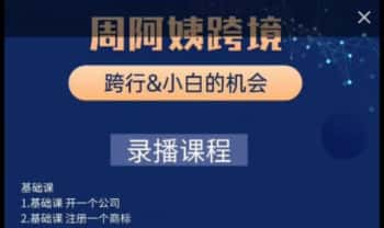 ZAY跨境学院周阿姨【跨境电商3C&水晶课】49节视频