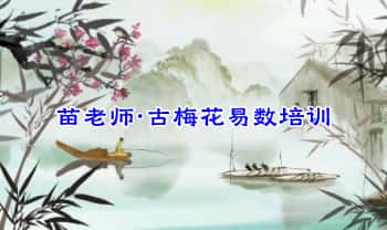 苗老师【古梅花易数培训】初级高级课程 音频+讲义