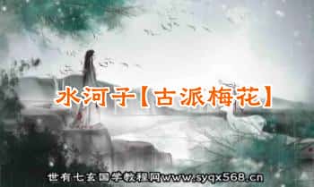 水河子【古派梅花】16集音频课+笔记