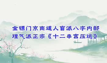 金镖门京南道人盲派八字内部理气派正宗《十二串宫压运》视频课34集