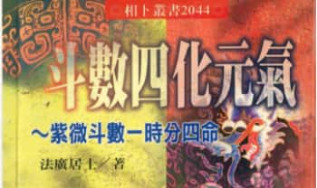 法广居士《斗数四化元气》386页.PDF电子版