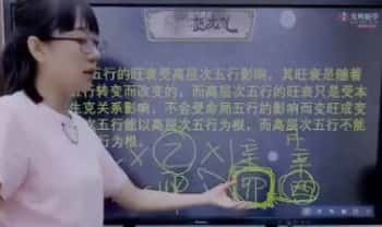 夏光明赵璟雯《悟道系列课程之八字原局、大运与流年应事解析》3集视频