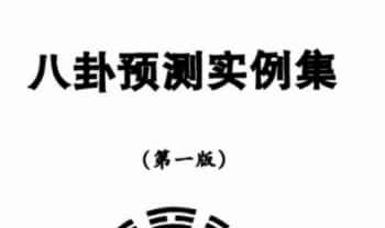 黄一远《八卦预测实例集(第一版)》166页.PDF电子版