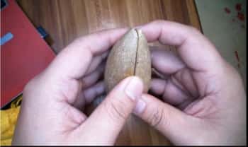 25年法惠【通天神卦  法卦祭炼+传法符】音频+视频+资料