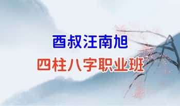 酉叔汪南旭【四柱八字职业班】58集视频