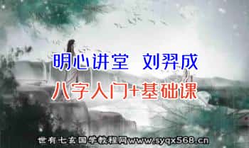 明心讲堂 刘羿成【八字入门+基础】视频8集