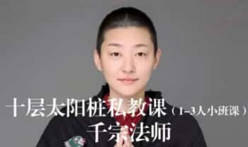 黄庭内景十层太阳桩 私教课 1集视频