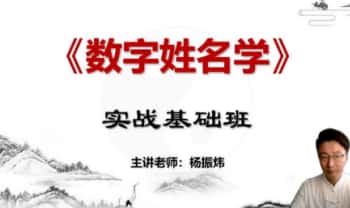 杨振炜《数字姓名学实战基础班》视频20集