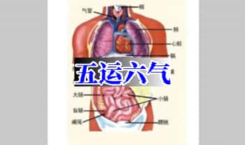 五运六气（十术合一，只‮健为‬康，不单单只是五运六气）视频25集