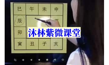 沐林紫微课堂【国学紫微斗数】视频课42集