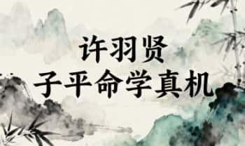 许羽贤《子平命学真机》305页.PDF电子版