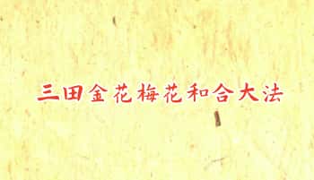 道教符咒科仪《三田金花梅花和合大法》24双页.PDF电子版