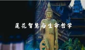 古墓说【莲花智慧与生命哲学】68集视频