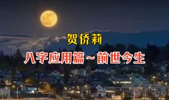 贺侨莉【八字应用篇～前世今生】教学视频31集