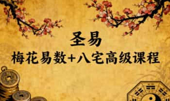 圣易《梅花易数+八宅高级课程》视频课 64集