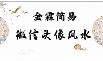 金霖老师《微信头像》教学视频15集