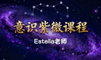 Estella老师【意识紫微课程】10集视频