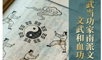 《武当功家南派文武和血功》169页.PDF电子版