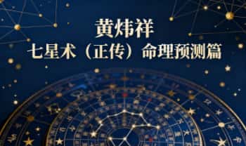黄炜祥《七星术（正传）命理预测篇》294页.PDF电子版