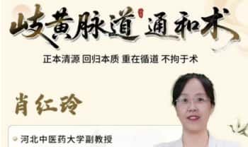 扁鹊中医-肖红玲【岐黄脉道通调术(线上课)】23集视频课