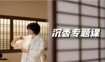 黄珊珊【沉香专题研修班】25节系统课