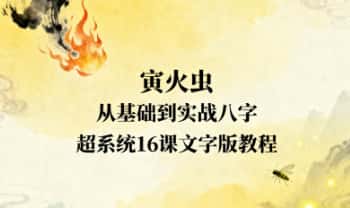 寅火虫最新资料【从基础到实战八字】超系统16课文字版教程