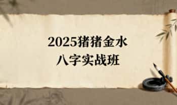 猪猪金水2025年【八字实战班】视频课15集
