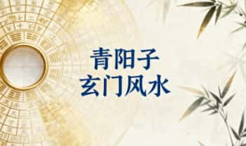 青阳子张诚阳【玄门风水】视频课63集