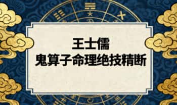王士儒最新【鬼算子命理绝技精断】视频教学203集