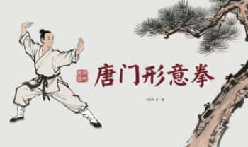 唐门形意拳 视频教学14集